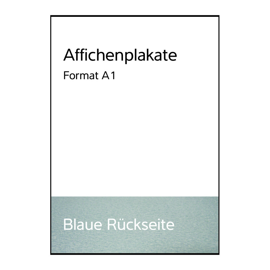 Affichenplakat A1 - Begeisternder Wahlkampf